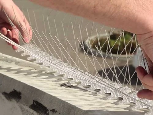 Bird Control Spikes installation - Project 5
