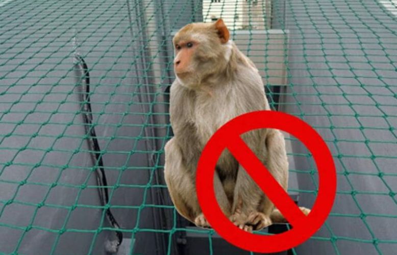 Monkey Safety Nets installation - Project 2
